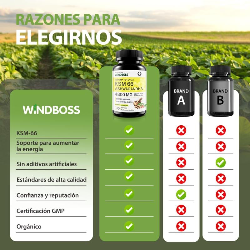 Cápsulas de Ashwagandha KSM-66 Windboss en frasco negro con etiqueta verde sobre fondo de campo de plantas verdes.
