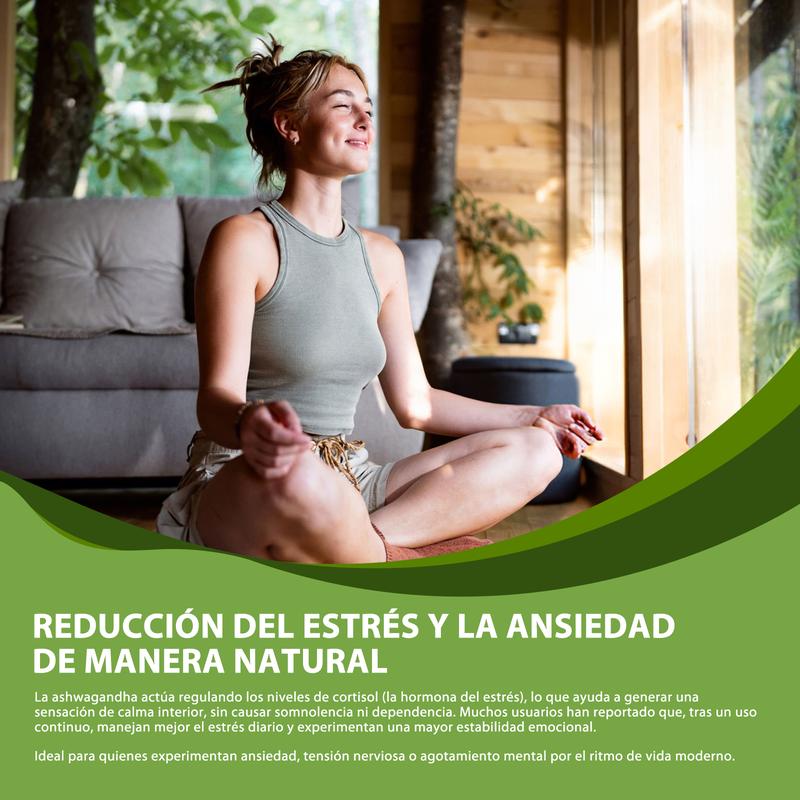 Windboss Cápsulas de Ashwagandha KSM-66 imagen 8