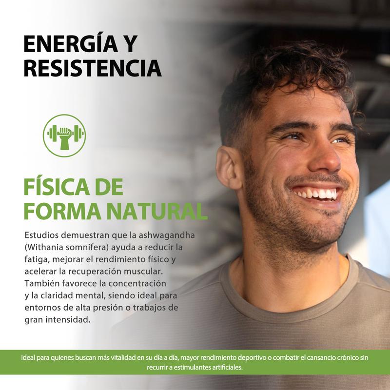 Windboss Cápsulas de Ashwagandha KSM-66 imagen 7